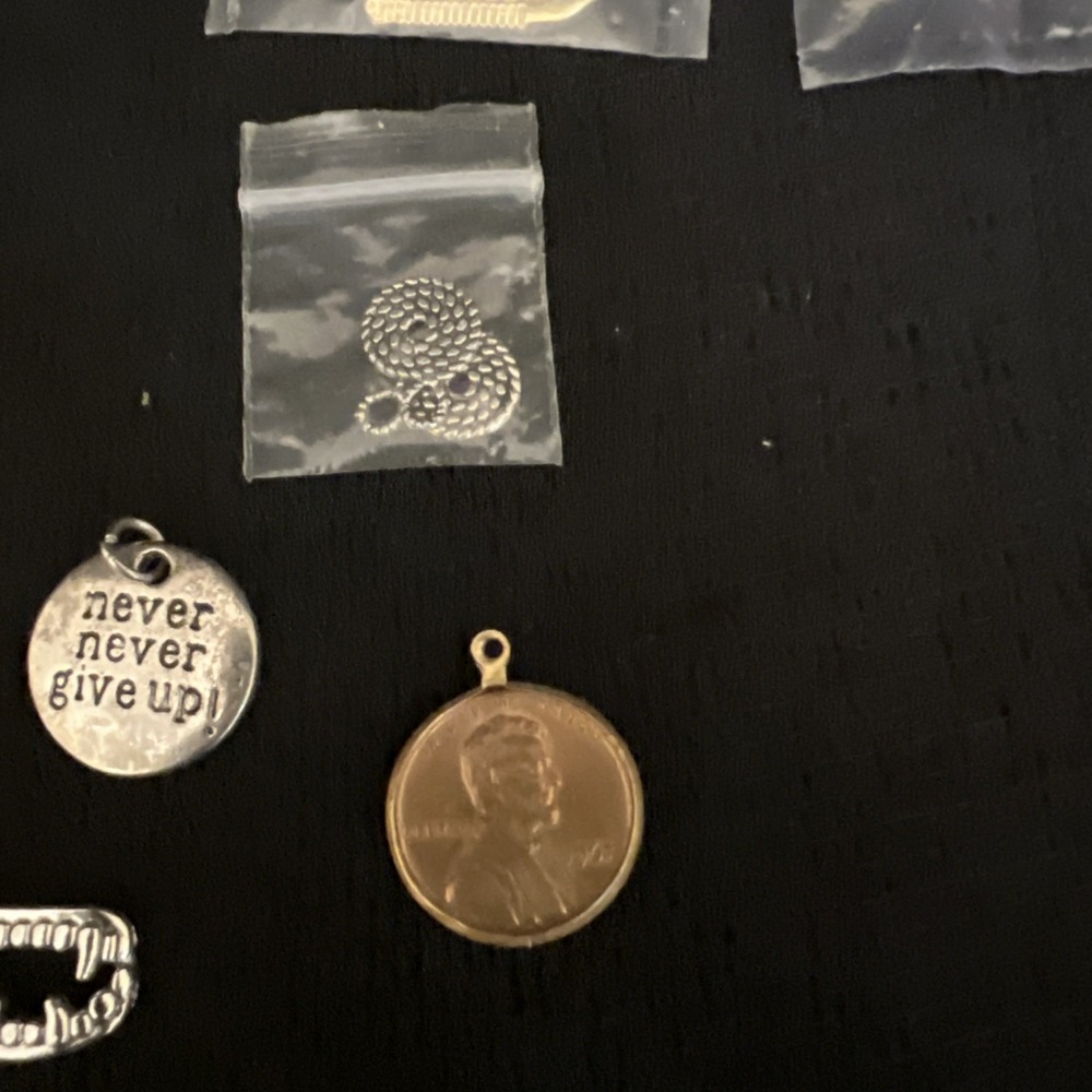 Mixed Charm Lot Jewelry Animals Beach Tropical Paris Fairy Cruise Ship Craft Lot - Picture 8 of 16